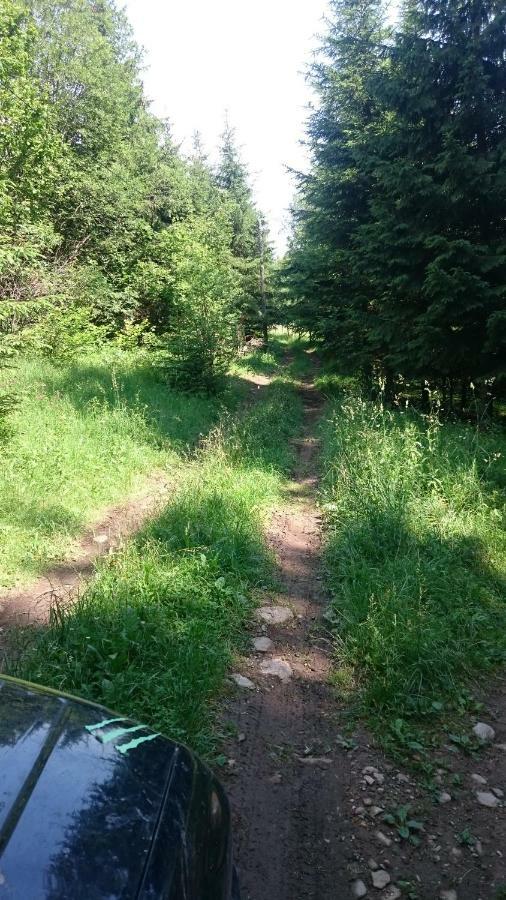 Vila Casa Ria-Ria Pihenohaz Miercurea Ciuc Exteriér fotografie